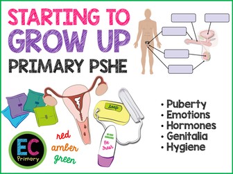 Puberty Growing Up PSHE