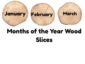 Wood Slices Months, Natural Birthday Display, Reggio Birthday, Reggio Months Display