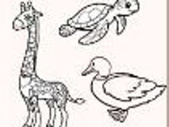 Animal life Fact file - colour and identify