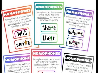 Homophones 10 Classroom Display Poster Bundle