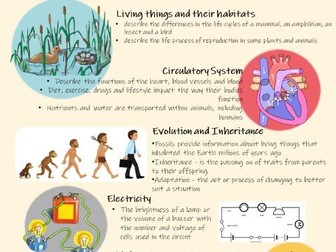 Year 6 Transition to Secondary School booklet - Topic Key Facts