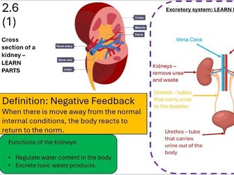WJEC GCSE Biology unit 2 revision mats