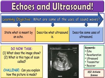 Echoes and Ultrasound KS3 Activate Science