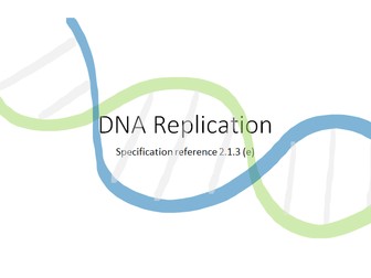 DNA Replication