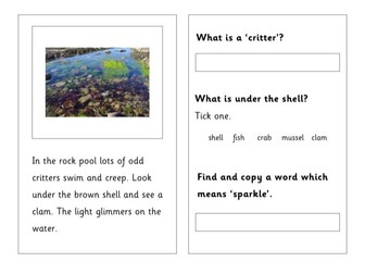 Phonic-based Reading Assessment Pack  (Phase 2, 3,4 and 5)