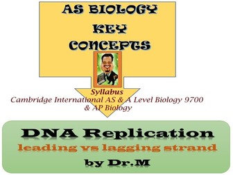 DNA Replication:Leading Vs Lagging strand Diagram