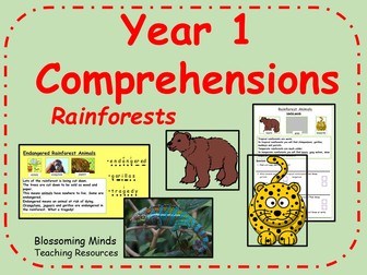 Year 1 comprehension - rainforests