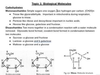 Edexcel AS Biology Topic 1 Biological Molecules