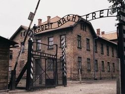 The Final Solution - the Holocaust | Teaching Resources