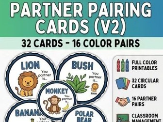 Partner Pairing Cards | Matching Partner Activity (in color)