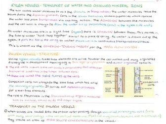 EDEXCEL A LEVEL BIOLOGY UNIT 4 STUDENT NOTES (Salters-Nuffield)