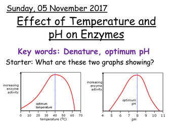 Effect of temperature and pH on enzymes