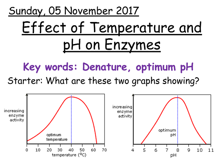 Effect Of Temperature And PH On Enzymes | Teaching Resources