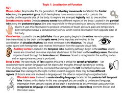 Biopsychology Revision (A2 Psychology)