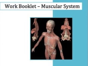 Muscular system workbook