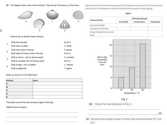 IGCSE CIE A3 Exam sheet - Classification