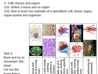 Cells - series of lesson worksheets