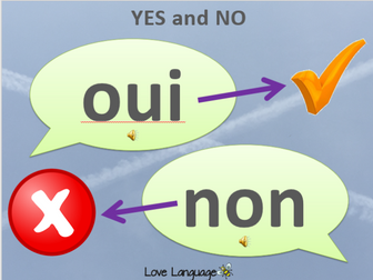 Yes And No In French Teaching Resources