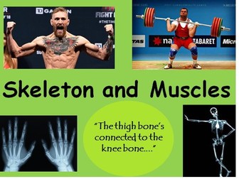 KS3 - The body - Skeleton, Muscles and Respiration - COMPLETELY RESOURCED