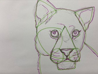 Animal painting schema