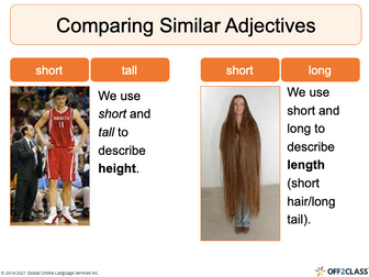Adjectives: Opposites (Lesson 3 ) -  ESL/ELL Lesson Plan