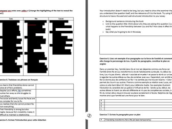 A Level French No et Moi essay worksheet - friendship