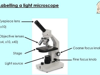 Y7 Activate - Using a light microscope