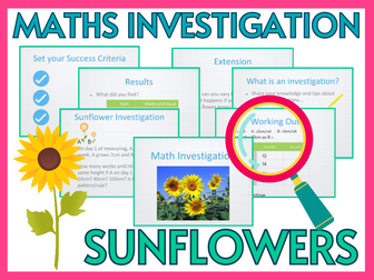 Year 6 Maths Sunflower Investigation