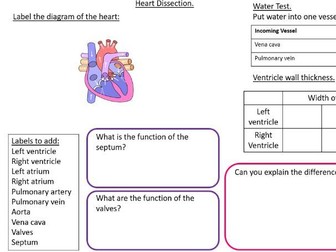 AQA GCSE Biology: The heart (theory & practical lesson)