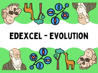 Evolution - Edexcel