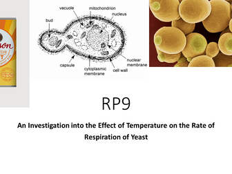 AQA RP9 - The effect of variables on the rate of respiration of cultures of single celled organisms