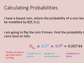 GCSE Statistics Bundle