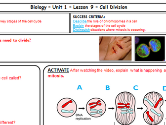 AQA GCSE Biology - Cell Biology - Cell Division