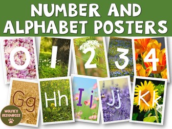 Nature Themed Number and Alphabet Posters