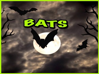 Bats - PowerPoint & Activities