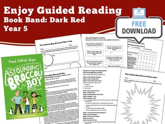Guided Reading Notes: Astounding Broccoli Boy – Year 5