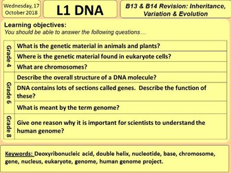 DNA, Chromosomes, Genes and the Genome (GCSE Biology)