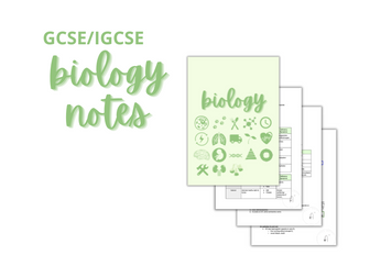 GCSE/IGCSE Biology Notes - Human Reproduction