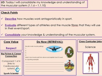 Edexcel GCSE PE - Component 1 - Topic 1 - Lesson 10 Muscles