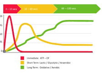 Energy Systems AQA A level PE