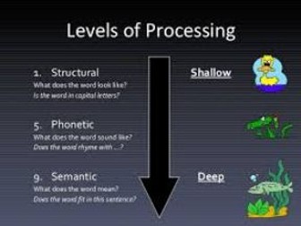 Cambridge IGCSE Psychology 0266