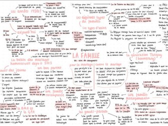 aqa a-level french mindmap - topic 1: la famille en voie de changement (year 1)