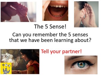 Touch, smell and Taste Lesson