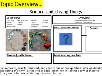 Primary Science Year 5 - Living Things: Animals Life Cycles (2 full lessons)