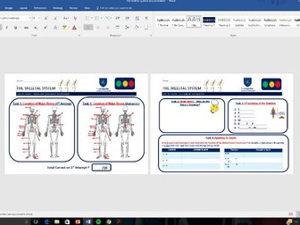 Names, location and functions of the skeletal system worksheet