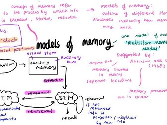 Level 7 IB PSYCHOLOGY HL NOTES:  380 pages of exam prep, flashcard, model essays, essential studies.