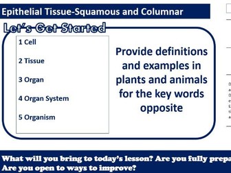 Epithelial Tissue (Squamous and Columnar)- AAQ Applied Science