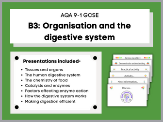 B3 Organisation and the digestive system