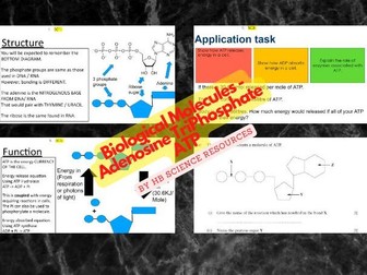 Biological Molecules ATP Adenosine Triphosphate