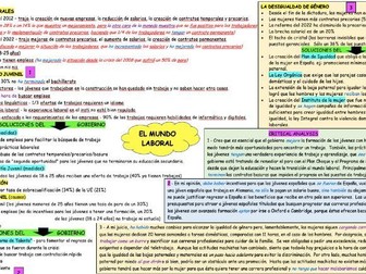 A-Level Spanish Learning mat (paper 3) "El mundo laboral"
